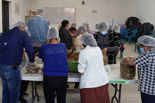 Capacitaciones y asesoría